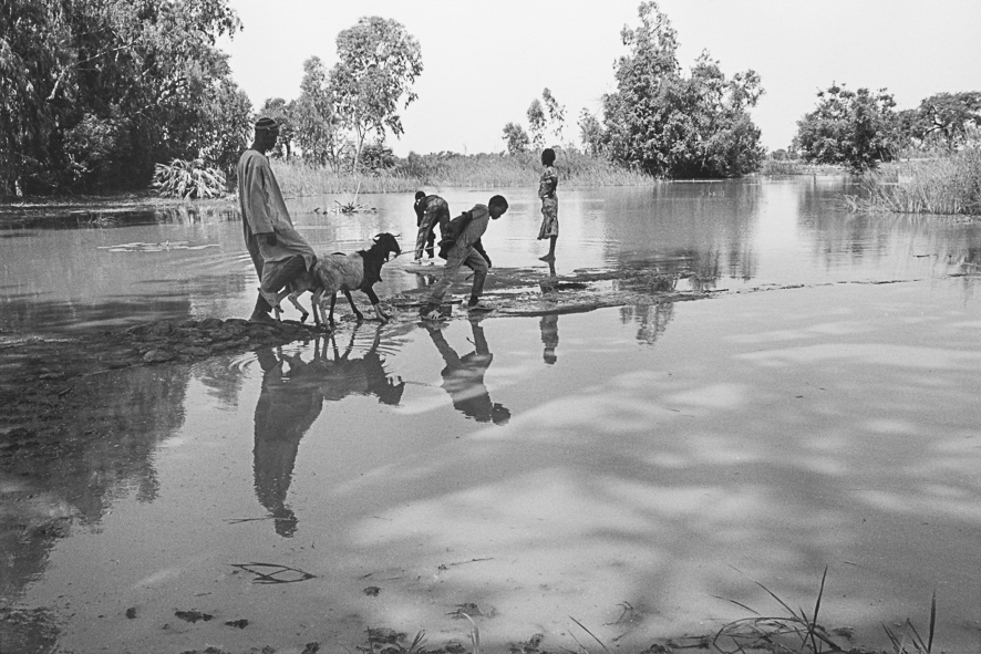 Sur le gué - Lac de Bam – Pouni – Burkina Faso - 2010